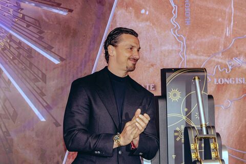 Сколько голов за карьеру забил Златан Ибрагимович?